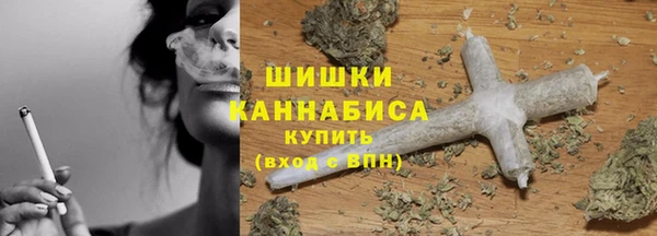 дмт Нея