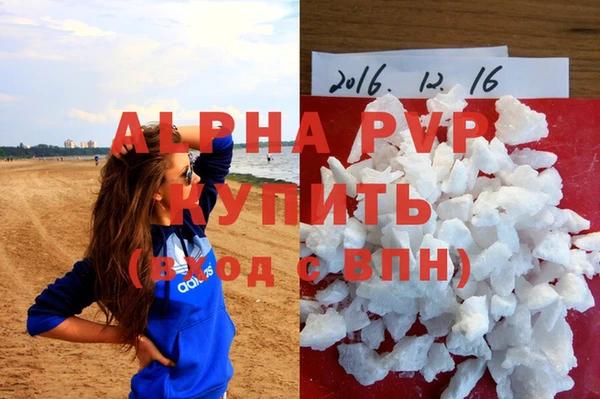 прущие грибы Нефтегорск