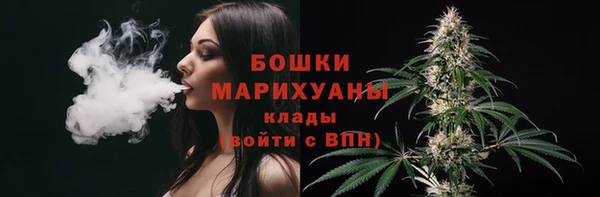 прущие грибы Нефтегорск
