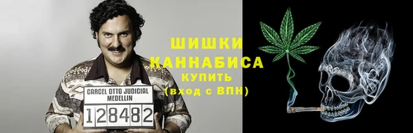 дмт Нея