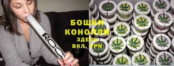 дмт Нея