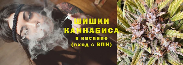 прущие грибы Нефтегорск