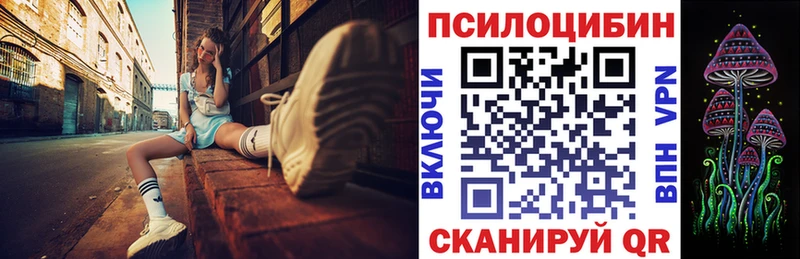 Галлюциногенные грибы Psilocybe Малая Вишера